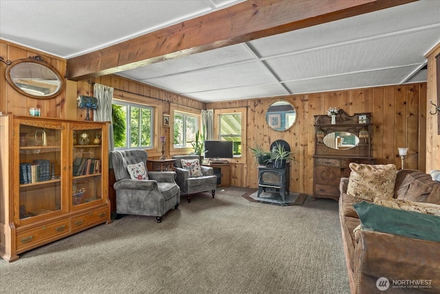 48911 Mountain Loop Hwy, Granite Falls, WA 98252 - living area featuring wooden walls, carpet flooring, and a wood stove