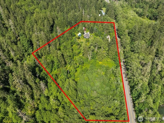 48911 Mountain Loop Hwy, Granite Falls, WA 98252 - aerial overview of property's location with property boundaries highlighted and a forest