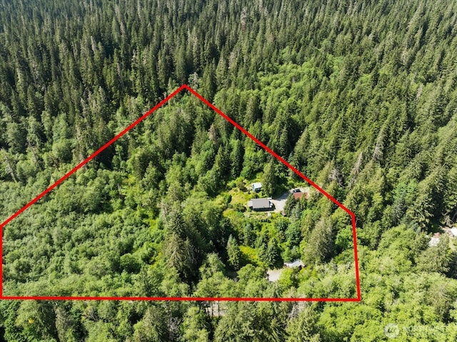 48911 Mountain Loop Hwy, Granite Falls, WA 98252 - aerial view of property's location with property boundaries highlighted and a forest