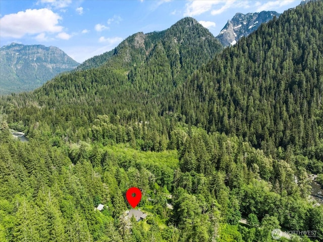 48911 Mountain Loop Hwy, Granite Falls, WA 98252 - mountain view featuring a heavily wooded area