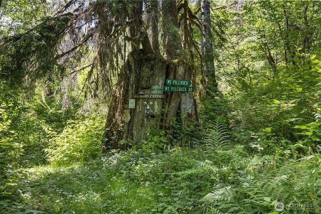 48911 Mountain Loop Hwy, Granite Falls, WA 98252 - view of tree filled area
