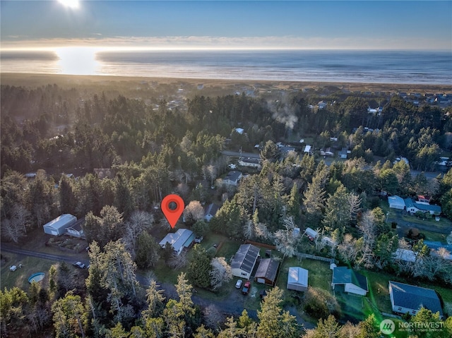 1411 297th Ln, Ocean Park, WA 98640 - aerial view of a nearby body of water