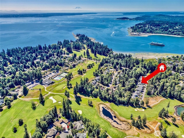 668 Ferryview Ln NE, Bainbridge Island, WA 98110 - photo 33