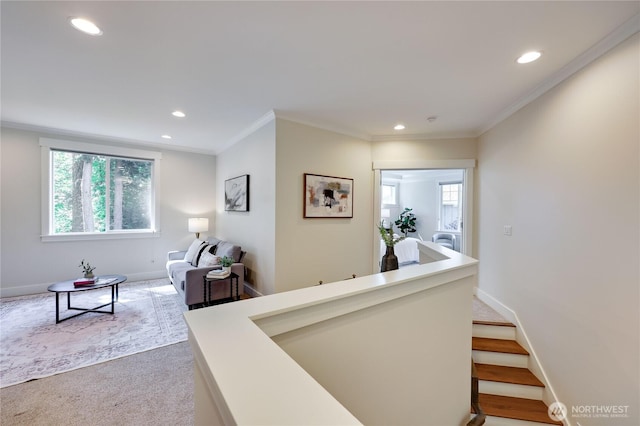 668 Ferryview Ln NE, Bainbridge Island, WA 98110 - photo 20