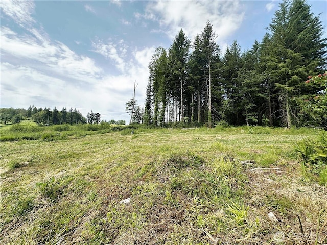 174 Riley Way, Mossyrock, WA 98564 - photo 9