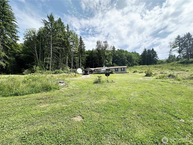 174 Riley Way, Mossyrock, WA 98564 - photo 5