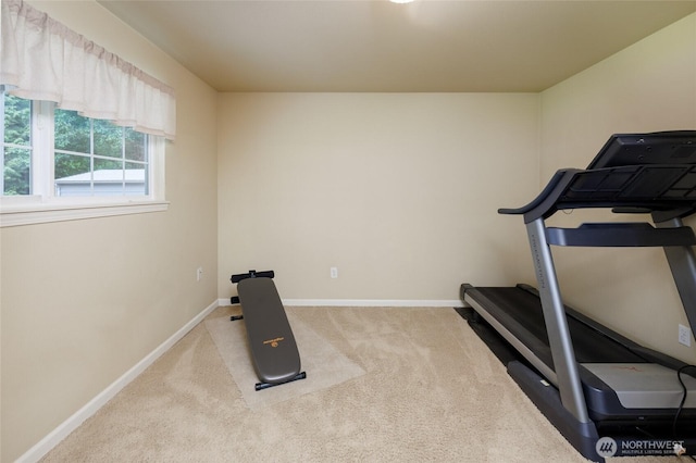 11101 147th St E, Puyallup, WA 98374 - photo 29