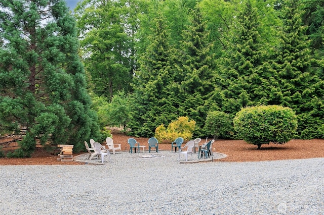 11101 147th St E, Puyallup, WA 98374 - photo 33