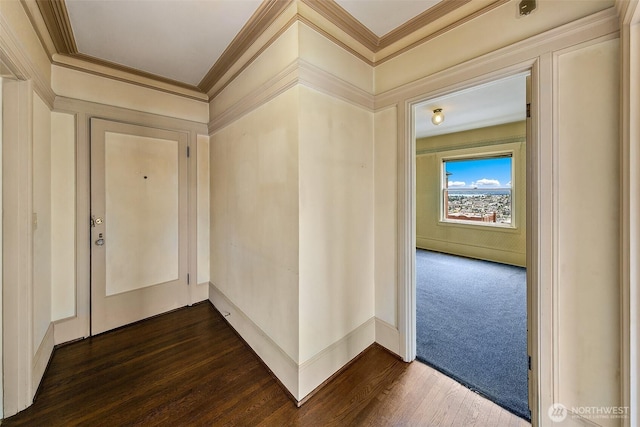 1902 Bigelow Ave N Unit 301, Seattle, WA 98109 - corridor with ornamental molding and dark wood-type flooring