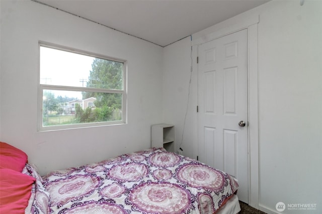 8715 Whitewood Loop SE, Yelm, WA 98597 - view of bedroom