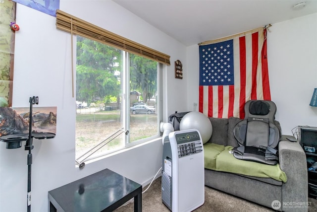 8715 Whitewood Loop SE, Yelm, WA 98597 - workout room featuring plenty of natural light