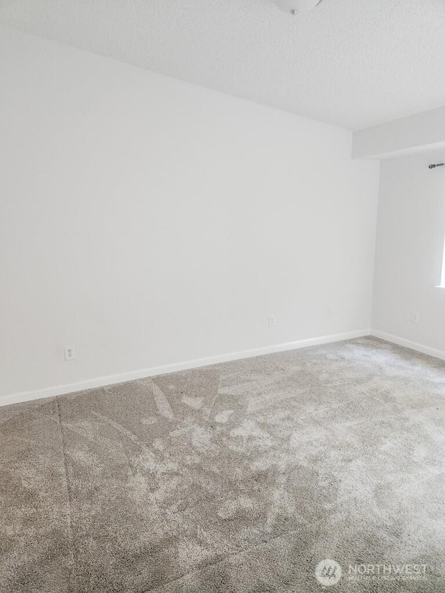 12103 221st Avenue Ct E, Bonney Lake, WA 98390 - photo 11