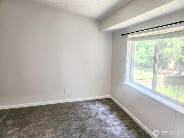 12103 221st Avenue Ct E, Bonney Lake, WA 98390 - photo 13