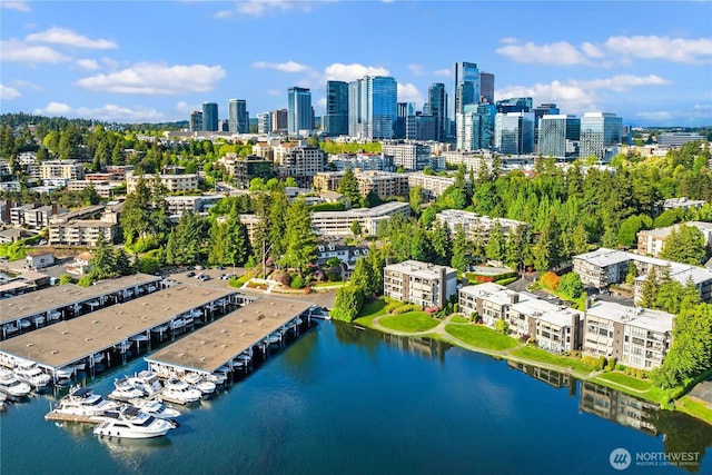 101 101st Ave SE Unit 201A, Bellevue, WA 98004 - aerial view of a large body of water and city skyline