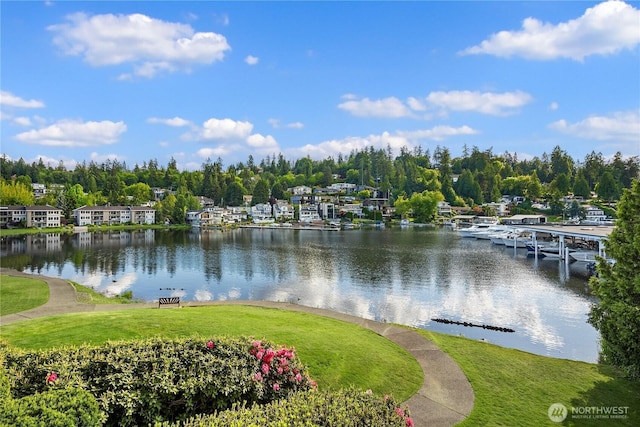 101 101st Ave SE Unit 201A, Bellevue, WA 98004 - water view with a tree filled landscape