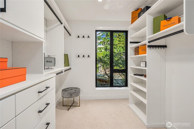 101 101st Ave SE Unit 201A, Bellevue, WA 98004 - walk in closet with light colored carpet