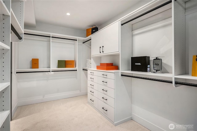 101 101st Ave SE Unit 201A, Bellevue, WA 98004 - spacious closet featuring light carpet