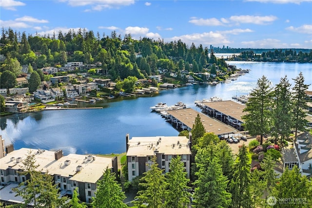 101 101st Ave SE Unit 201A, Bellevue, WA 98004 - bird's eye view of a nearby body of water