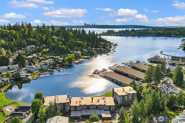 101 101st Ave SE Unit 201A, Bellevue, WA 98004 - aerial view of a large body of water