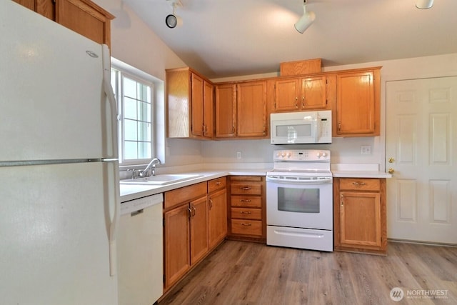 4018 144th Street Ct NW Unit 59, Gig Harbor, WA 98332 - kitchen featuring white appliances, light wood-type flooring, light countertops, and brown cabinetry