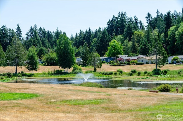 4018 144th Street Ct NW Unit 59, Gig Harbor, WA 98332 - water view