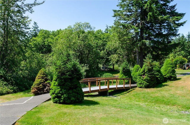 4018 144th Street Ct NW Unit 59, Gig Harbor, WA 98332 - surrounding community with a yard