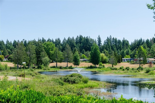 4018 144th Street Ct NW Unit 59, Gig Harbor, WA 98332 - water view