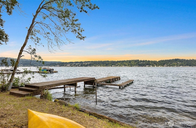 1711 E Lake Sammamish Pl SE, Sammamish, WA 98075 - dock featuring a water view