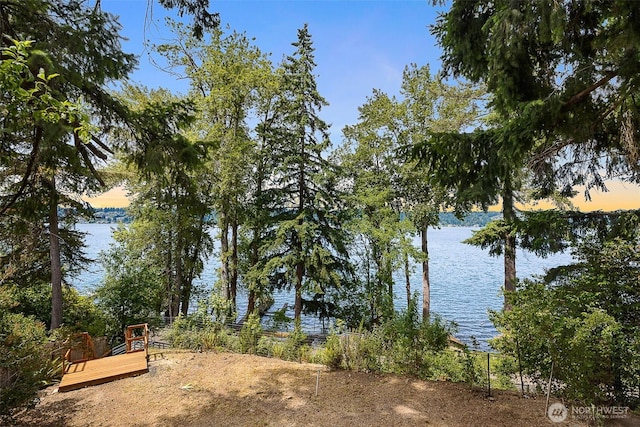 1711 E Lake Sammamish Pl SE, Sammamish, WA 98075 - water view