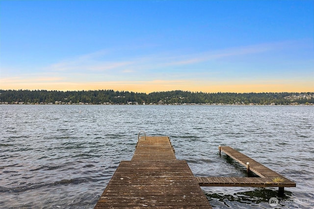 1711 E Lake Sammamish Pl SE, Sammamish, WA 98075 - dock area featuring a water view