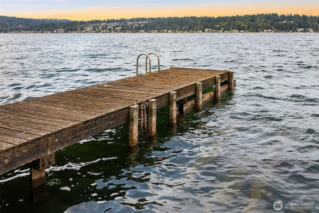 1711 E Lake Sammamish Pl SE, Sammamish, WA 98075 - dock area featuring a water view
