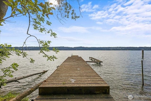 1711 E Lake Sammamish Pl SE, Sammamish, WA 98075 - dock area with a water view