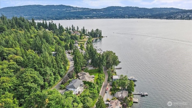 1711 E Lake Sammamish Pl SE, Sammamish, WA 98075 - drone / aerial view of a large body of water and a heavily wooded area