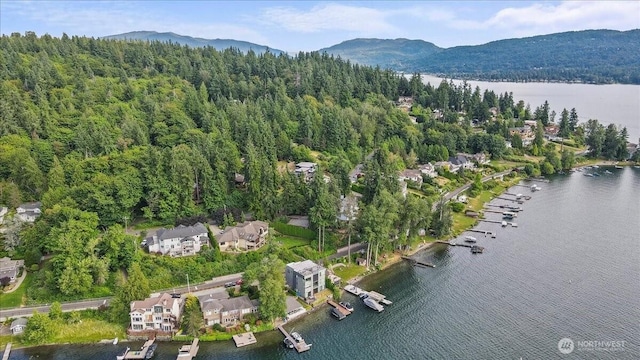1711 E Lake Sammamish Pl SE, Sammamish, WA 98075 - view of property location featuring a water and mountain view