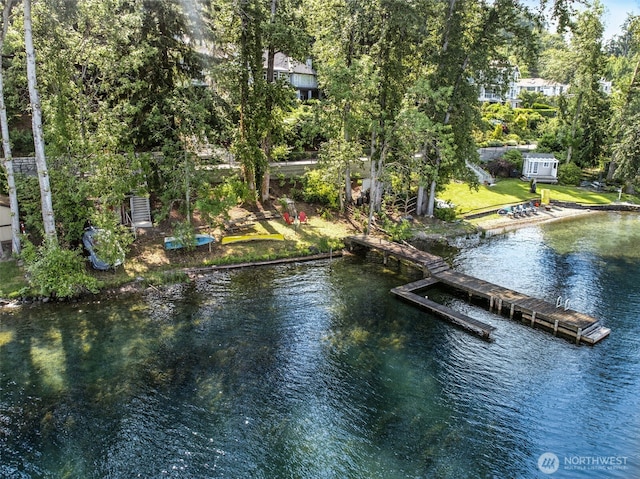 1711 E Lake Sammamish Pl SE, Sammamish, WA 98075 - photo 3
