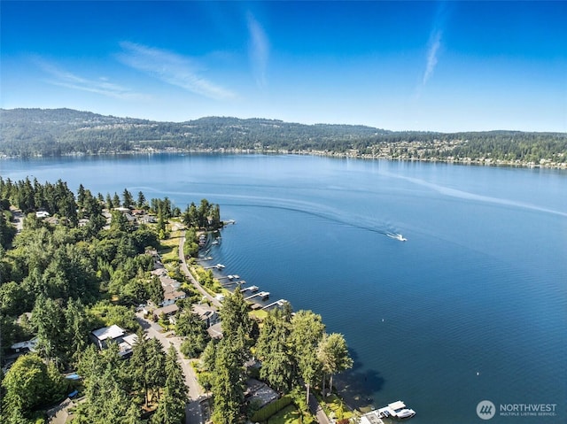 1711 E Lake Sammamish Pl SE, Sammamish, WA 98075 - photo 33