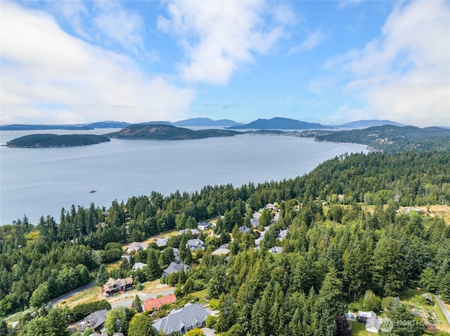 3995 Bay Ln, Anacortes, WA 98221 - aerial view of a heavily wooded area and a water and mountain view