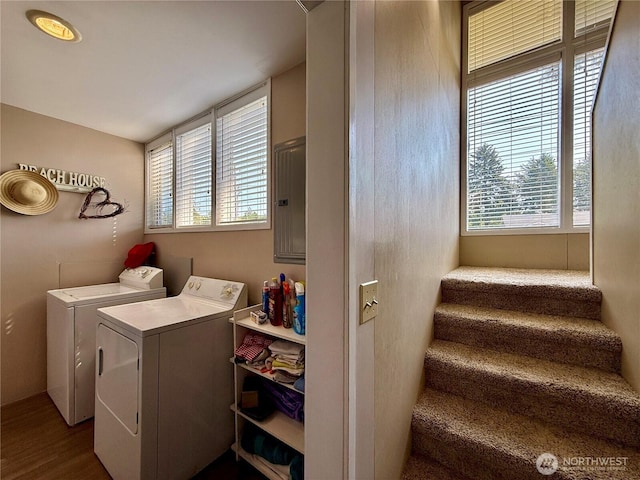 877 Mount Olympus Ave SE, Ocean Shores, WA 98569 - laundry area with washing machine and dryer, electric panel, and dark wood finished floors
