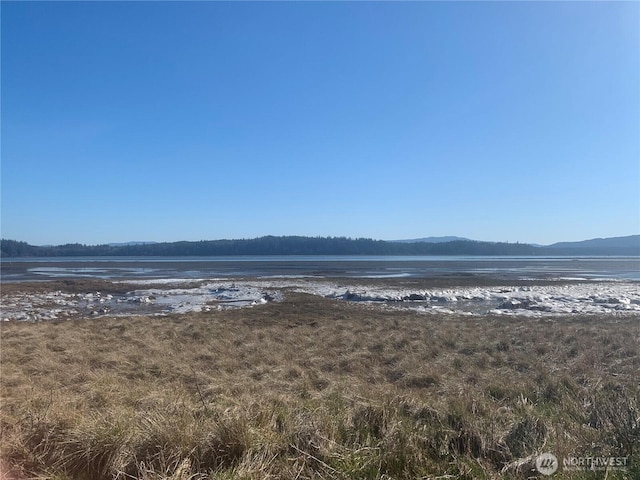 20520 Sandridge Rd, Ocean Park, WA 98640