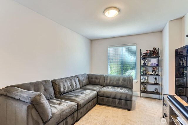 13216 23rd Ave SE, Mill Creek, WA 98012 - photo 10
