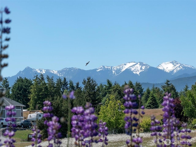 206 Buckhorn, Sequim, WA 98382 - mountain view