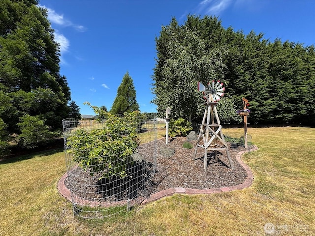 206 Buckhorn, Sequim, WA 98382 - view of green lawn