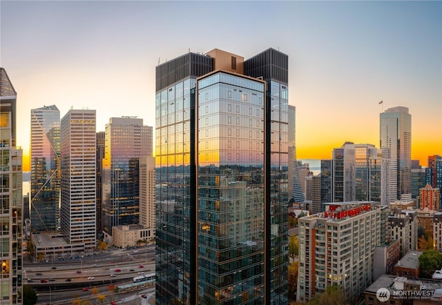 800 Columbia St Unit 1009, Seattle, WA 98104 - view of city