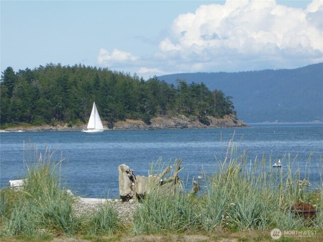 5225 Guemes Island Rd, Anacortes, WA 98221 - photo 8