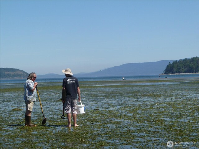 5225 Guemes Island Rd, Anacortes, WA 98221 - photo 11