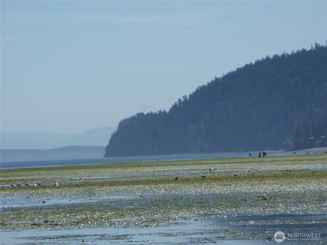 5225 Guemes Island Rd, Anacortes, WA 98221 - photo 12
