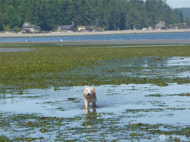 5225 Guemes Island Rd, Anacortes, WA 98221 - photo 13