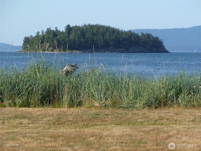 5225 Guemes Island Rd, Anacortes, WA 98221 - photo 7