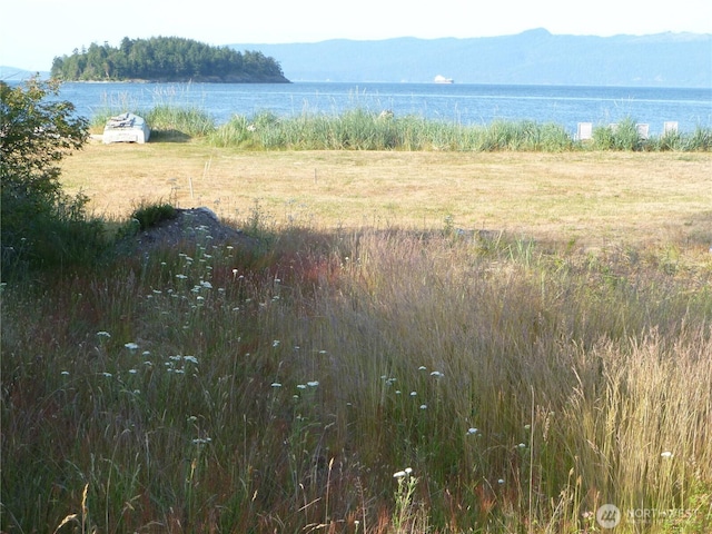 5225 Guemes Island Rd, Anacortes, WA 98221 - photo 6