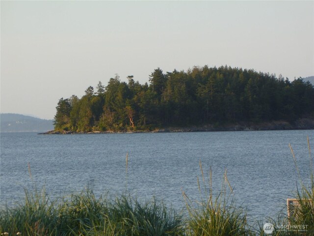 5225 Guemes Island Rd, Anacortes, WA 98221 - photo 18